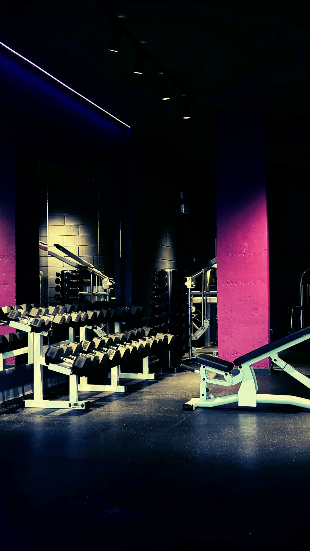 Purple Gym