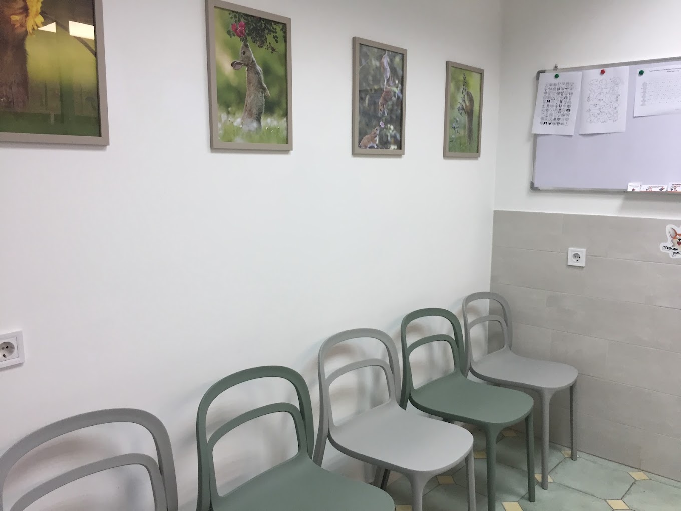 Cool Vet