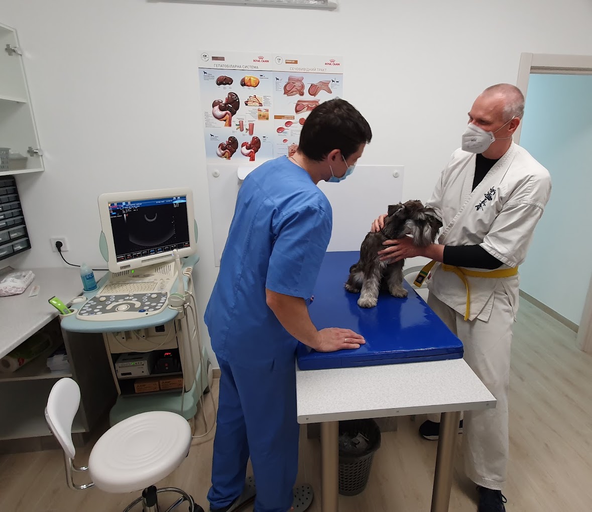 Cool Vet