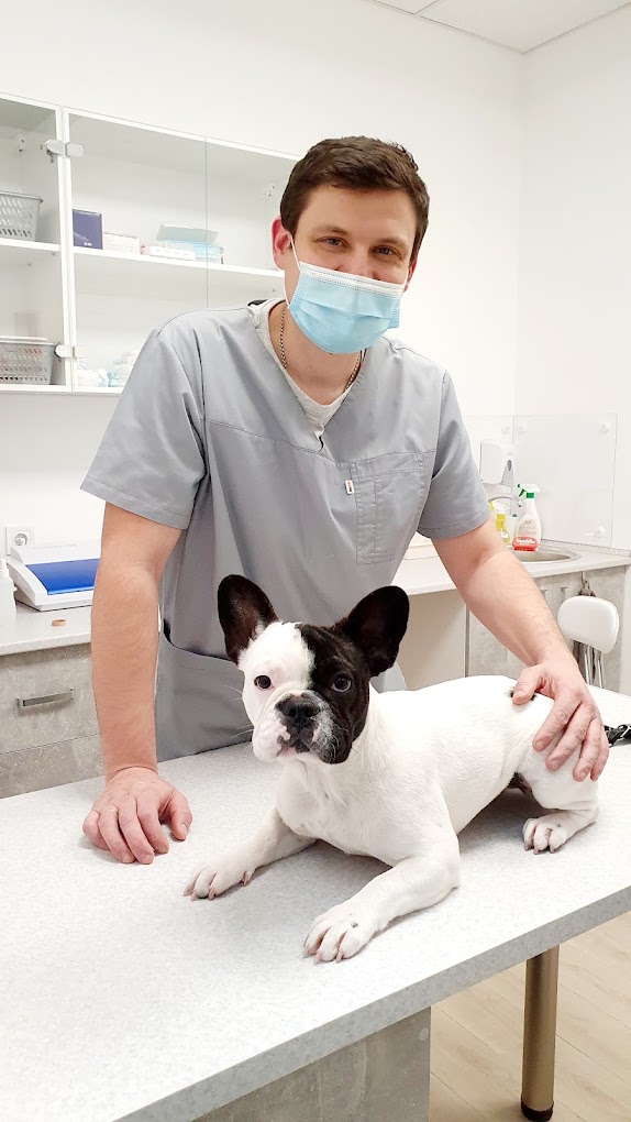 Cool Vet