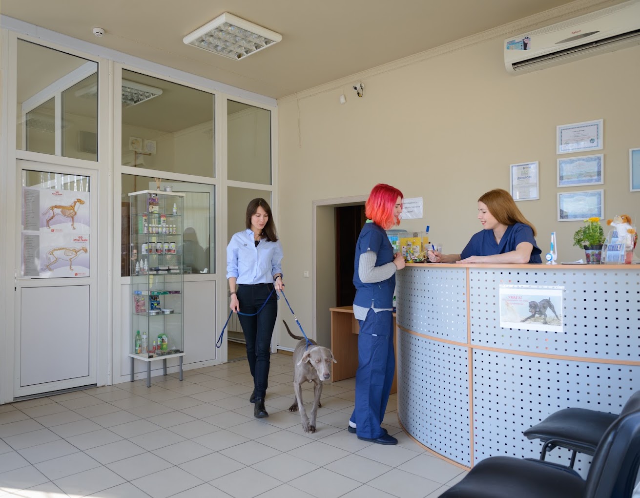 Хвіст