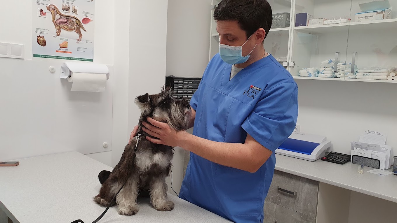 Cool Vet