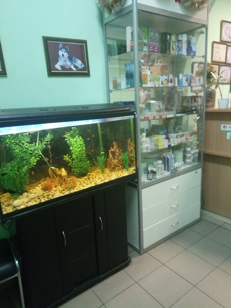 Чотири лапи