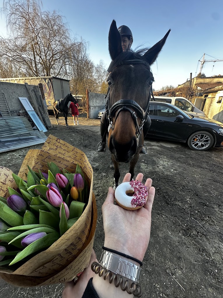 Вільна країна